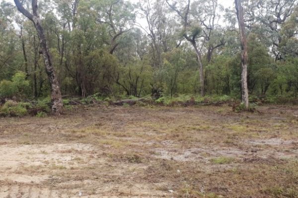 land-clearing-153F5CCC5-B131-5851-F421-CA85514F6C57.jpg