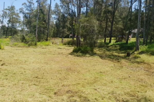 land-clearing-235E2142E-7855-BDA1-039E-20F0ECAEE211.jpg